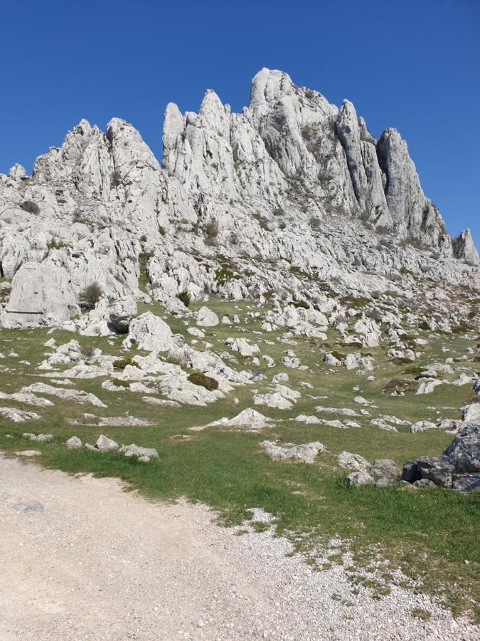 Apartmani Rudi Anić Exterior foto